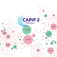 CAPIF 2: The Road to Interconnection