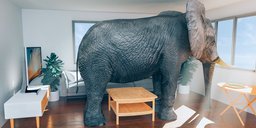 5G: The Outsourced Elephant in the Room