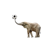 The Elephant Effect - Considerations on Live Streaming Italy's Serie A Championship