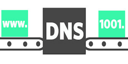 Investigating the Status of Reverse DNS