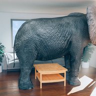 5G: The Outsourced Elephant in the Room