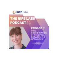 RIPE - Coordination in the Space Between the Networks