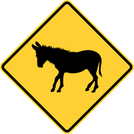 Of Donkeys, Mules and Horses - Store and Retrieve IP Prefixes Efficiently
