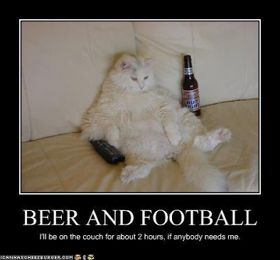 Cats and Football