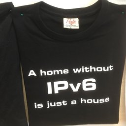 IPv6 on Gavlenet, but Why are so Few Using It?