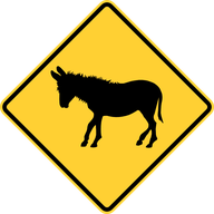 A Donkey