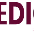 SEEDIG 2019 Liveblog