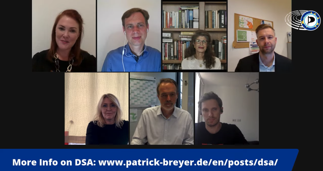 DSA and Fundamental Rights Panel