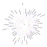 khipu_use_cases_cover