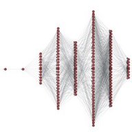 Multi-level MDA-Lite Paris Traceroute