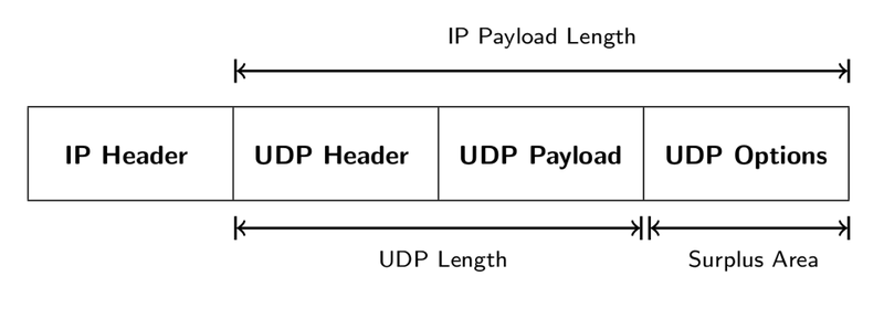 Overcoming The Limitations Of Udp Options Ripe Labs